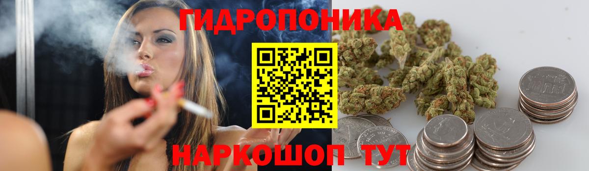 Выборг  Шишки марихуана семена  Вход с VPN  Конопля марихуана  Бошки марихуана семена 